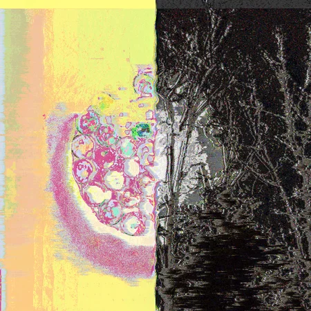 Body One / Body Two