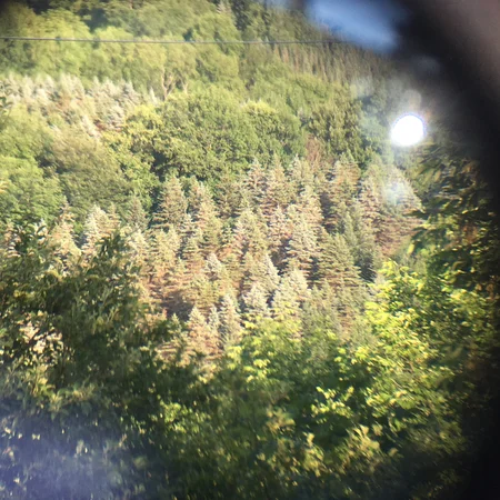 roxbury & roxbury, too.